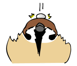 Pooh of sparrow, Fluffy daily sticker #7928997
