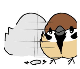 Pooh of sparrow, Fluffy daily sticker #7928998