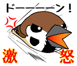 Pooh of sparrow, Fluffy daily sticker #7929005