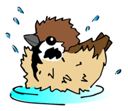 Pooh of sparrow, Fluffy daily sticker #7929006