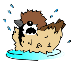 Pooh of sparrow, Fluffy daily sticker #7929006