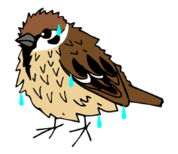 Pooh of sparrow, Fluffy daily sticker #7929007