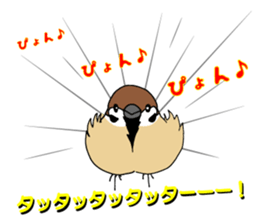 Pooh of sparrow, Fluffy daily sticker #7929008