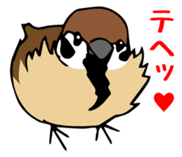 Pooh of sparrow, Fluffy daily sticker #7929009