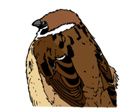 Pooh of sparrow, Fluffy daily sticker #7929016