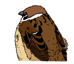 Pooh of sparrow, Fluffy daily sticker #7929016