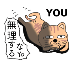 Wrapper cat yo-yo- sticker #7931074