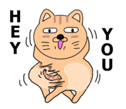 Wrapper cat yo-yo- sticker #7931085