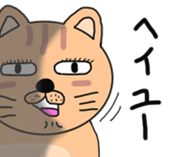 Wrapper cat yo-yo- sticker #7931086