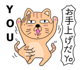 Wrapper cat yo-yo- sticker #7931087
