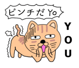 Wrapper cat yo-yo- sticker #7931093