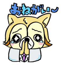 NMU Kashifu Festival mascot characters sticker #7933597