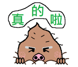 Sweet potato pig sticker #7935285