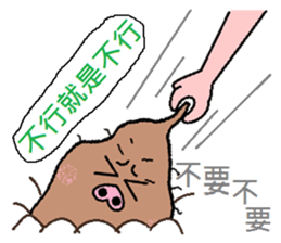 Sweet potato pig sticker #7935287