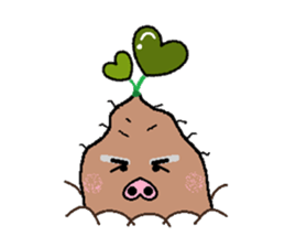 Sweet potato pig sticker #7935288