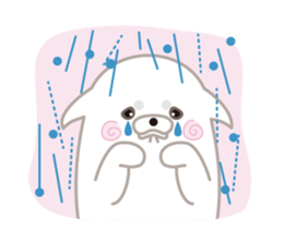 Shiro maro the dog sticker #7937372