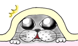 Cats are surprised. sticker #7940589