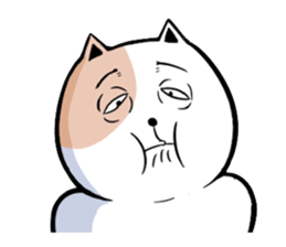 Very unpleasant cat sticker #7940901