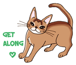 kogeta the aby english version sticker #7942062