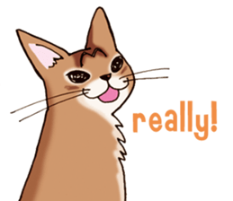 kogeta the aby english version sticker #7942064