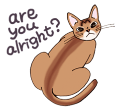 kogeta the aby english version sticker #7942066