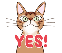 kogeta the aby english version sticker #7942068