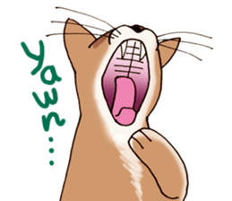 kogeta the aby english version sticker #7942070