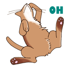 kogeta the aby english version sticker #7942075