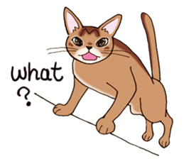 kogeta the aby english version sticker #7942079