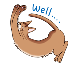 kogeta the aby english version sticker #7942080