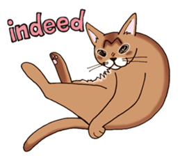 kogeta the aby english version sticker #7942084