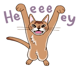 kogeta the aby english version sticker #7942085