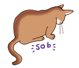 kogeta the aby english version sticker #7942087