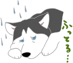 penguin & Siberian husky ,cute Sticker sticker #7945183
