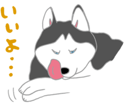 penguin & Siberian husky ,cute Sticker sticker #7945185