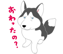 penguin & Siberian husky ,cute Sticker sticker #7945189