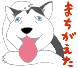 penguin & Siberian husky ,cute Sticker sticker #7945190