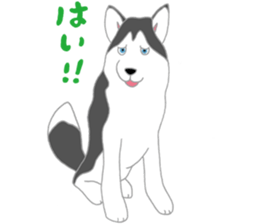 penguin & Siberian husky ,cute Sticker sticker #7945192