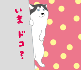 penguin & Siberian husky ,cute Sticker sticker #7945198