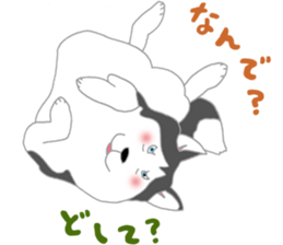 penguin & Siberian husky ,cute Sticker sticker #7945199