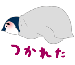 penguin & Siberian husky ,cute Sticker sticker #7945208