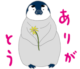 penguin & Siberian husky ,cute Sticker sticker #7945211