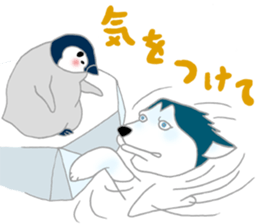 penguin & Siberian husky ,cute Sticker sticker #7945212