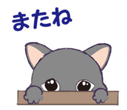Everyday Nyan-Words sticker #7946776