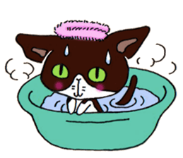 Toramaru&Hanako Cats sticker #7948154