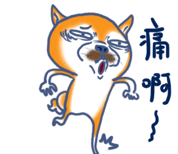 Shiba Dog PanPan's normal life 2nd sticker #7950269