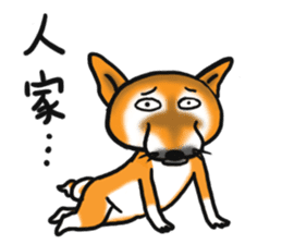 Shiba Dog PanPan's normal life 2nd sticker #7950280