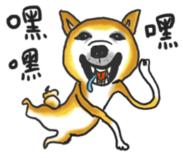 Shiba Dog PanPan's normal life 2nd sticker #7950282