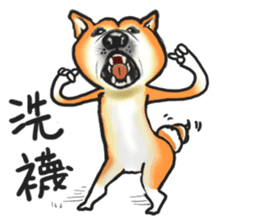 Shiba Dog PanPan's normal life 2nd sticker #7950283