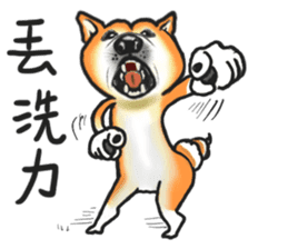 Shiba Dog PanPan's normal life 2nd sticker #7950284